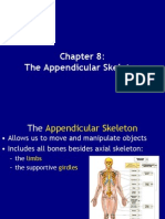 Ch 8 - Appendicular Skeleton s2009