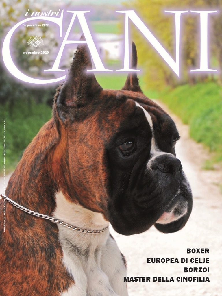 Dietary Patterns Consumed During Pregnancy and Risk of Hypertensive  Disorders of Pregnancy: A Systematic Review, image size:768x1024