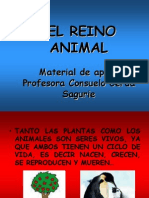 El Reino Animal Material de Apoyo. Organizacióon Celular