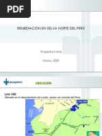 Proceso de Remediacion