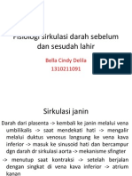 Fisiologi Sirkulasi Darah Sebelum Dan Sesudah Lahir