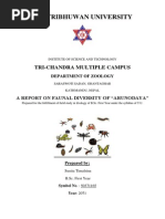 Download Zoology Report 1st Year_1 by Dinesh Timalsina SN247074383 doc pdf