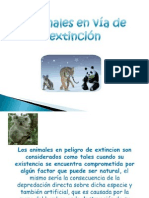 Animales en Peligro