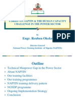 NAPTIN's Role in Addressing Human Capacity Challenges