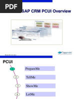 CRM PCUI Technology