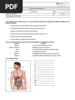 ciencias naturais 6 - sistema digestivo