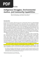 Indigenous Struggles Environmental Justice and Community Capabilities 2