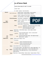 Template - Muscles of Lower Limb - Wikipedia, The Free Encyclopedia