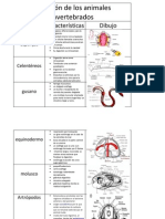 Digestion de Los Animales Vertebrados e Invertebrados