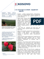 Serb-033-2014-9-NOA_Young Strawberry Growers' Success , serbian.doc