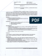 Medidas Caseras de Alimentos Que Contienen Vitamina a (1)