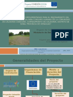 Proyecto de Cohesion Social Calidonia