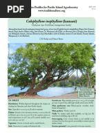 Download Calophyllum-kamani by alagurm SN247132216 doc pdf