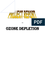 Ozonedepletion2 121130101856 Phpapp01