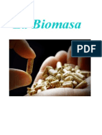 Biomasa 3