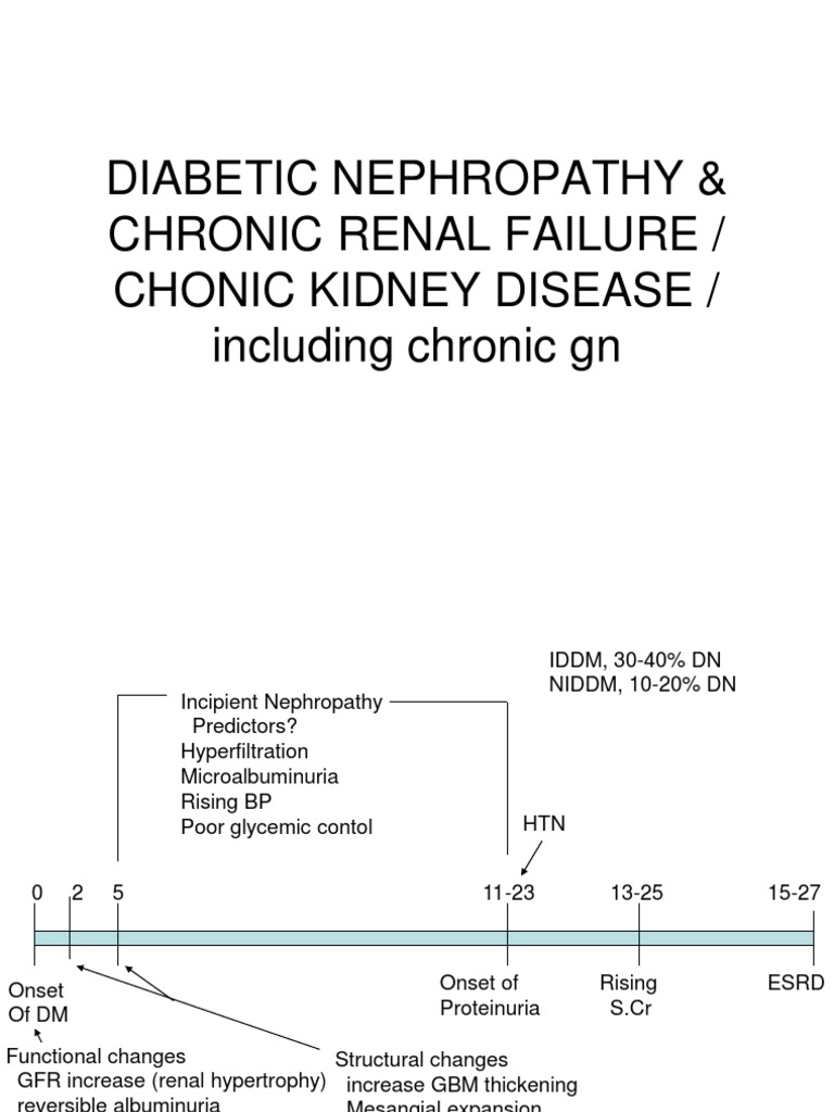 Diabetic Nephropathy & Chronic Renal Failure | PDF