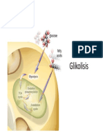 2014 Metabolisme Karbohidrat PDF