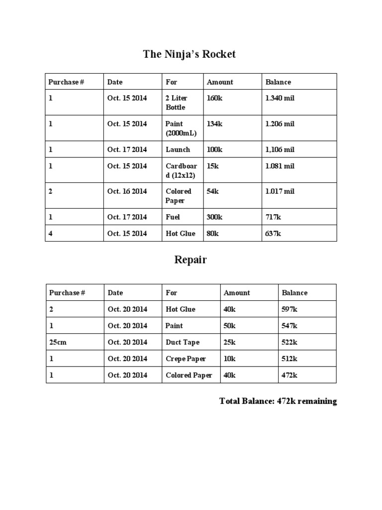 Ninja's Rocket Purchase Summary | PDF