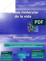 BiologíaMolecular_1
