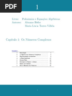 Ma38 - Polinômios e Equações Algébricas (1)