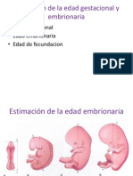 Estimación de La Edad Gestacional y Embrionaria