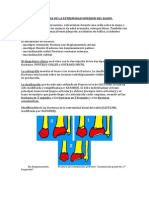 Fx. Distal de Cubito y Radio