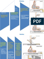 ñoñosseguridad.pptx