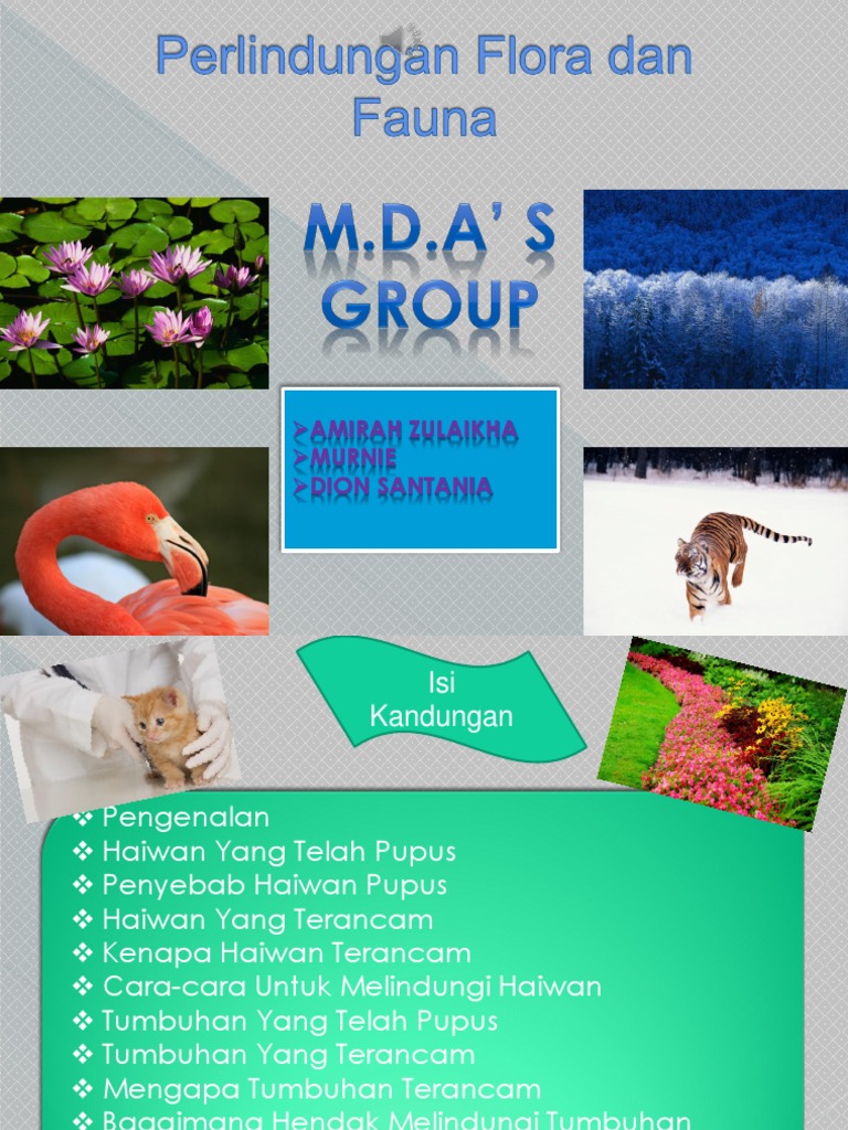 Perlindungan Flora Dan Fauna