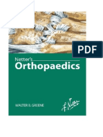 Download Netters Orthopaedics by   SN247228834 doc pdf