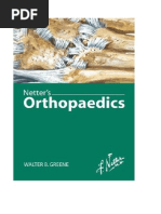 Download Netters Orthopaedics by   SN247228834 doc pdf
