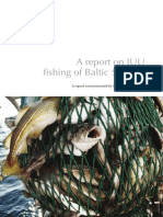 IUU fishing threatens Baltic cod