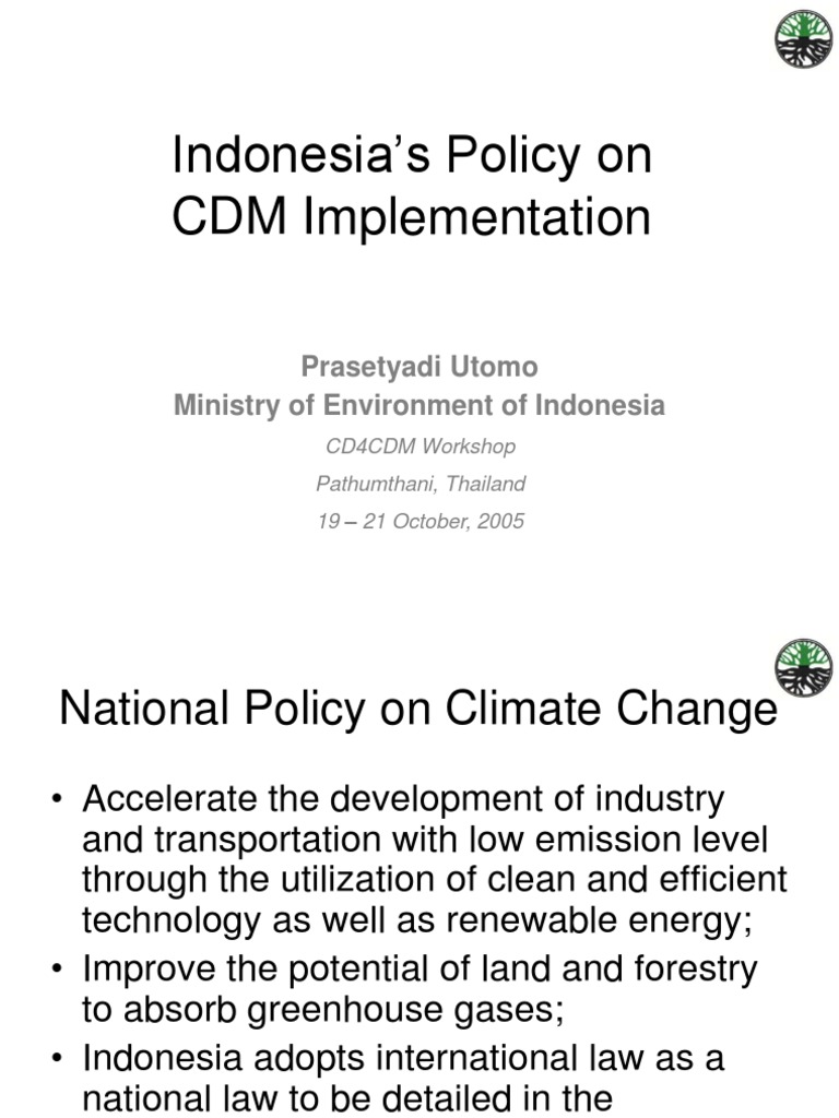 Indonesia's CDM Policy Overview | PDF | Clean Development Mechanism ...