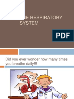 lesson 3-respiratory system