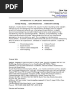 Information Technology Management: César Díaz