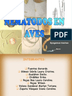 Expo Parasitos