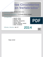 Sistemas Circulatorios en Vertebrados