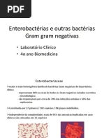 LC BacteriasGramNegativas