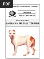 Pit Bull