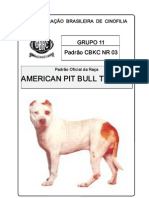 Pit Bull