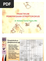 Download Praktikum Streptococcus sp by alaik SN24736311 doc pdf