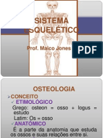 Sistema Esquelético