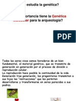 4. Genética