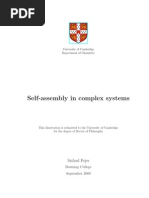 Download Self-assembly in complex systems PhD Thesis by sziszi115282 SN24738968 doc pdf