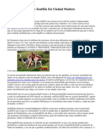 Denuncian Caso de Zoofilia en Ciudad Madero