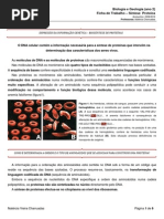 Ficha Informativa Sintese Proteica