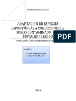 ADAPTACIÓN DE ESPECIES ESPONTÁNEAS A CONDICIONES DE SUELO CONTAMINADO  CON METALES PESADOS