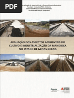 Avaliação Ambiental - Fecularia