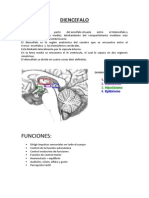 Diencefalo