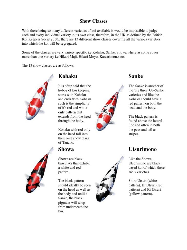 koi types | Fish | Animals Kept As Pets