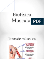 Biofísica Muscular